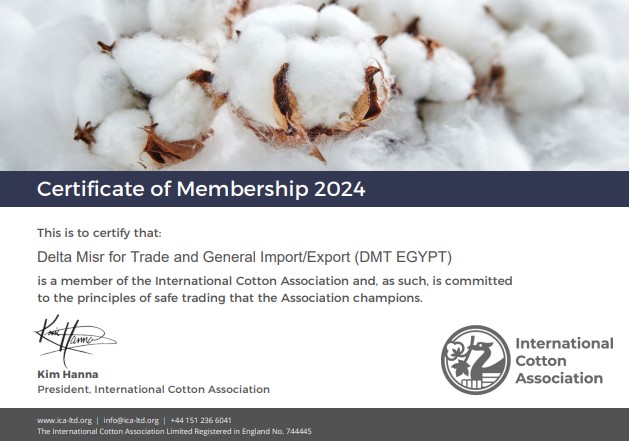 DMT certificate