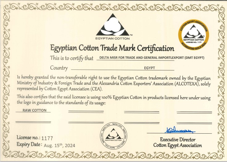 DMT certificate